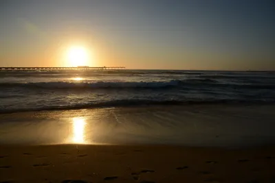 DSC_7087 (Large).JPG